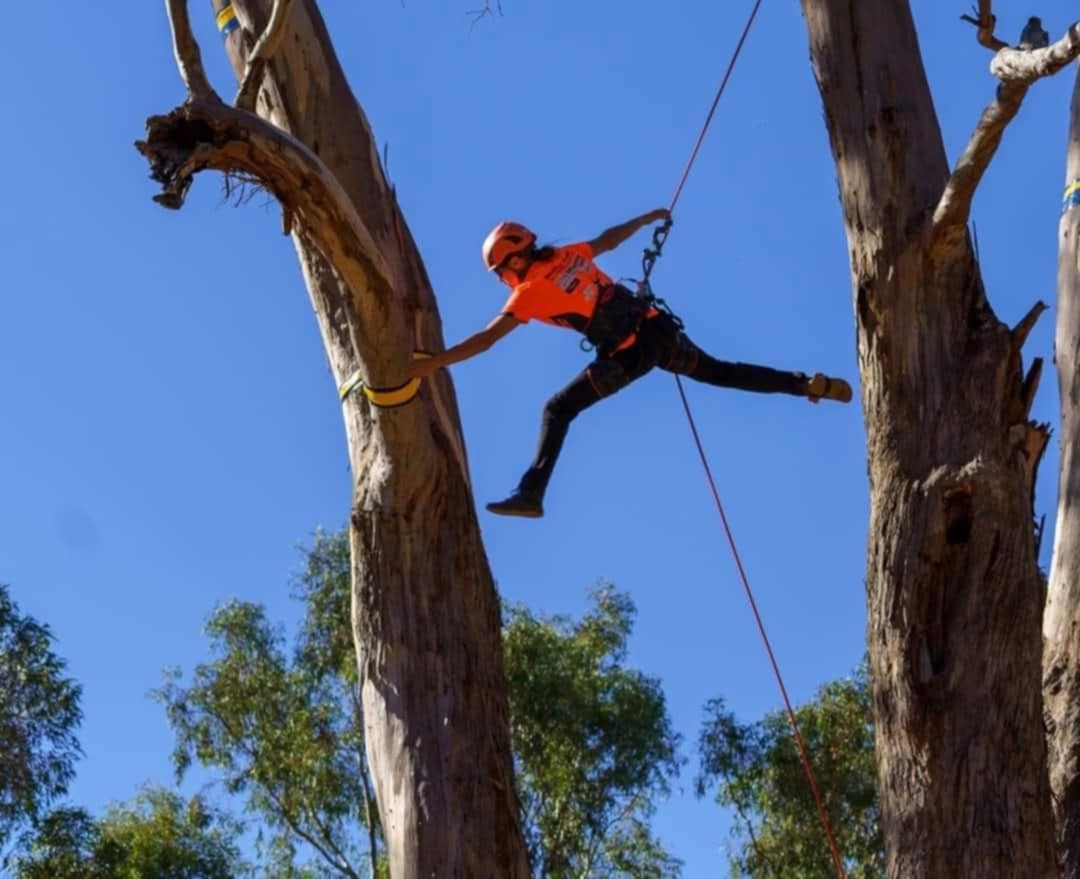 20250909 111053000 i OS