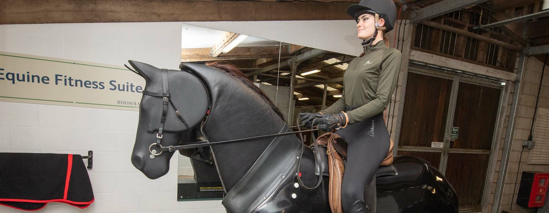 Equine Fitness Suite at Riseholme College
